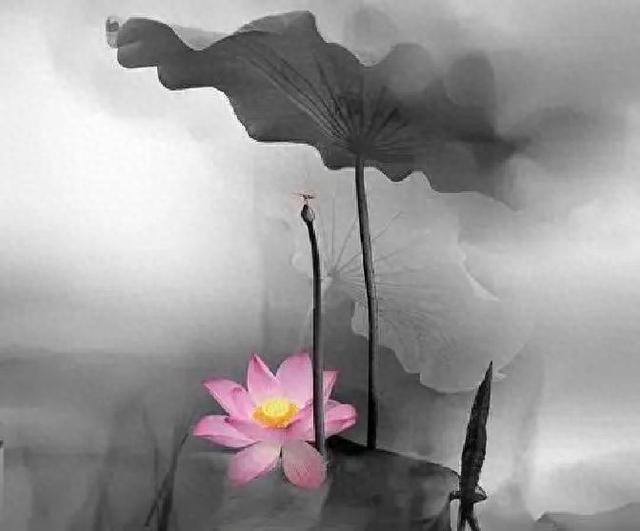 富有人生哲理的21句话，精辟深刻，句句获益！