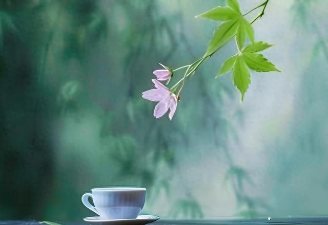 10句最经典的名句，句句智慧，受益匪浅，值得一看