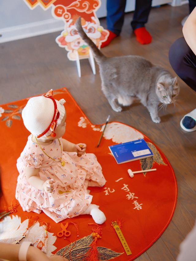 尘埃落定，一段隔代亲情即将成书