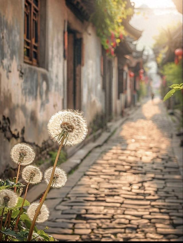 这10条人生哲理，越早明白越好（建议收藏）