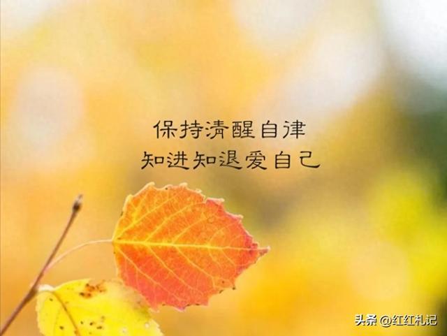 朋友圈高赞的文案，每日金句，情感语录