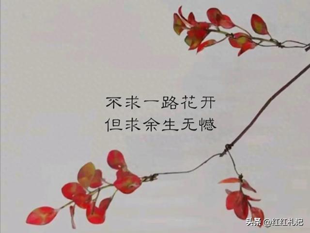 发朋友圈的文案，扎心的句子，情感语录，每日金句。