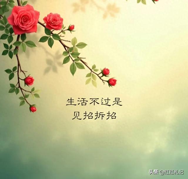 朋友圈文案，扎心的句子，情感语录，每日金句。