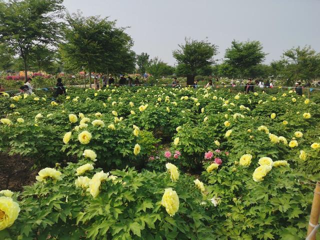 励志小故事：《第101次重新开始》