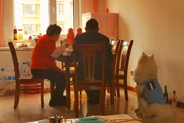 亲情与友情：谁更重要？一场关于情感的深思