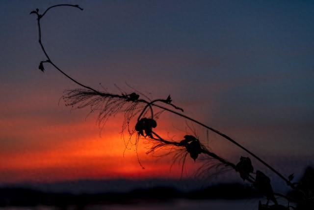 “‘道理都懂，但该哭还是会哭’：24句情感语录，句句是人生”