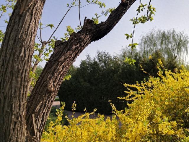 两性关系：39岁女人自述，生理上的喜欢到底是什么感觉？