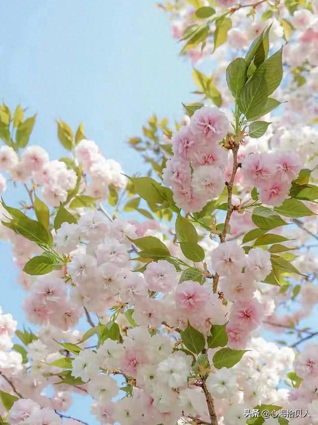 15句人生哲理：字字惊艳，句句精华！一辈子都写不出来的惊艳文案