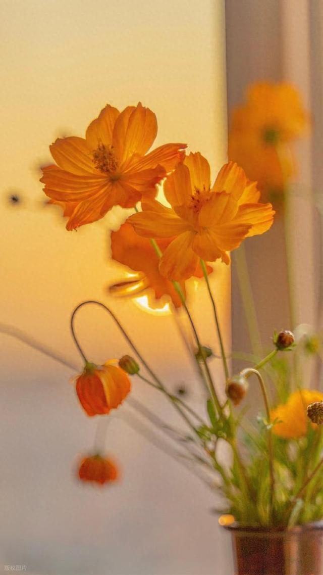 人间清醒的句子，每一条都满满哲理！