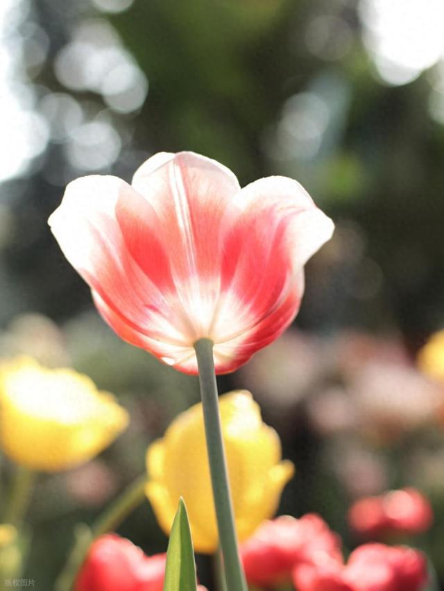 值得收藏的人生金句，每一条都是哲理！收藏！