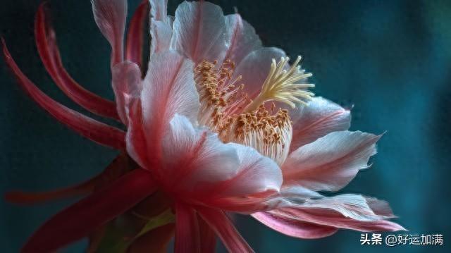 两性关系，42岁超市大姐自述：生理上的心动，根本藏不住