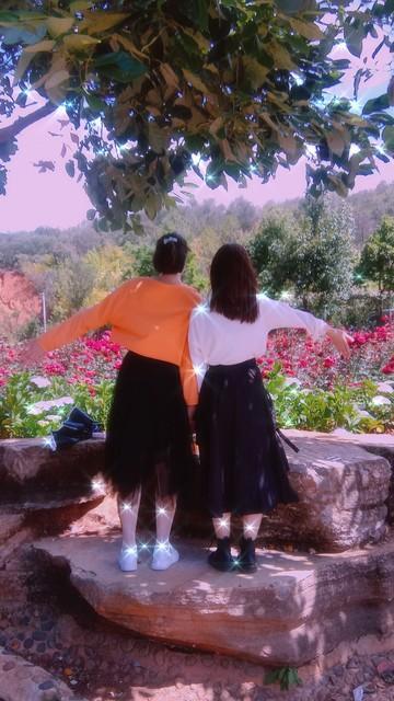 张晓磊情感爆款文章:友情的美好，在于彼此懂得，彼此珍惜