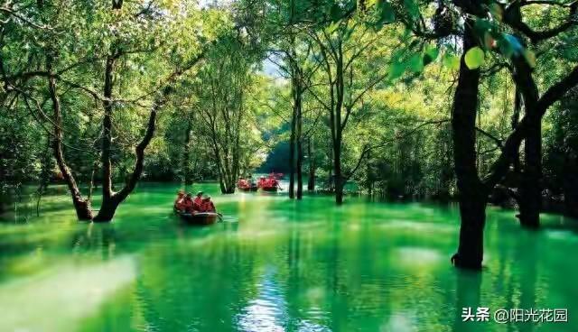 为你精选4篇不同主题、引人深思的情感美文，文字通透戳心又治愈