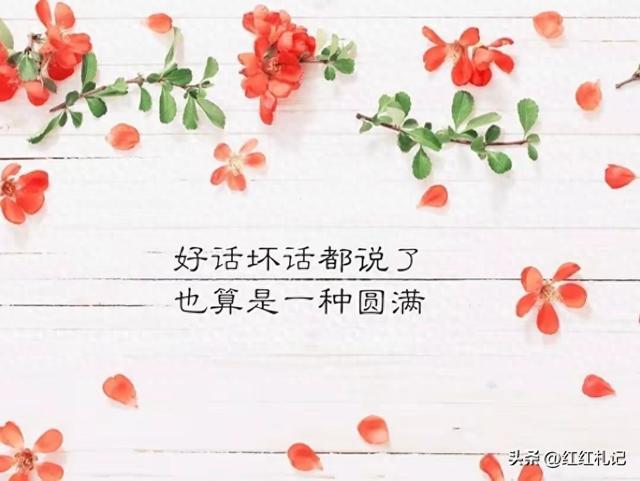 扎心的句子，情感的语录，每日金句！