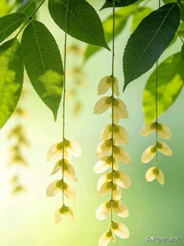 30句，经典大气，力量感强的励志名人名言