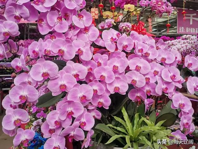 这是一个非常温暖且励志的真实故事，展现了超越血缘的父爱、