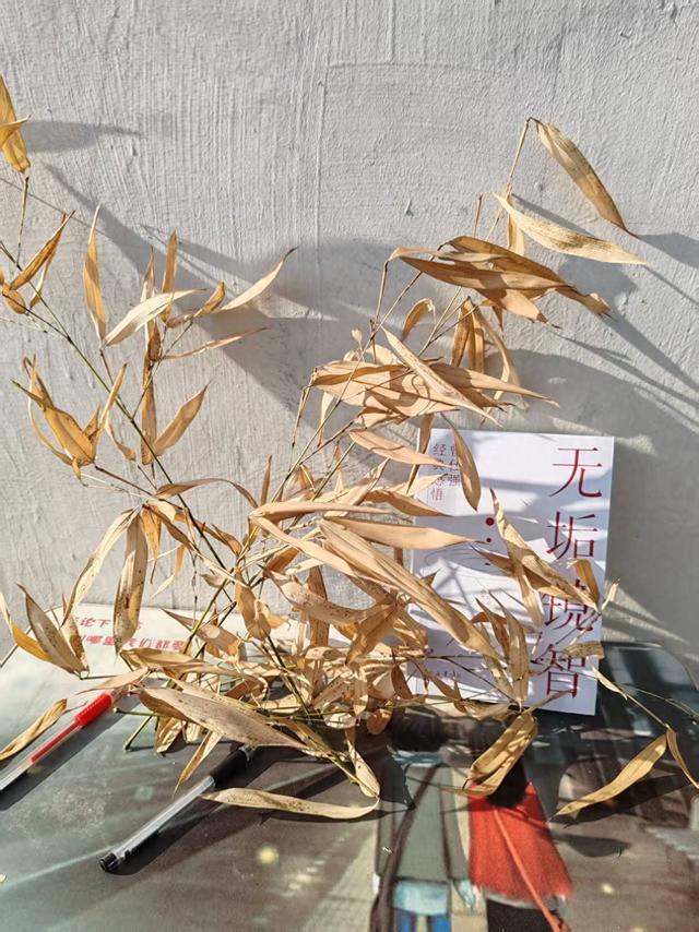 读<<无垢镜智>>有感