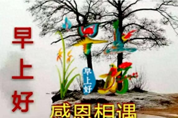 珍惜缘分，珍惜友情，牵挂朋友是诚意，每天的问候是心意