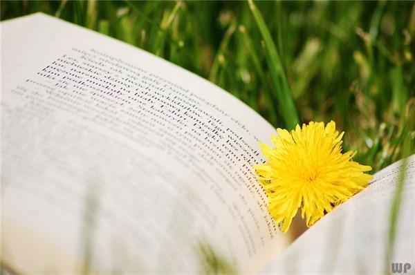 阳光正能量的人生感悟短语，透彻走心，让人受益终身