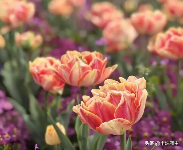 20句清醒而有力的哲理名言，句句醍醐灌顶 (值得收藏）