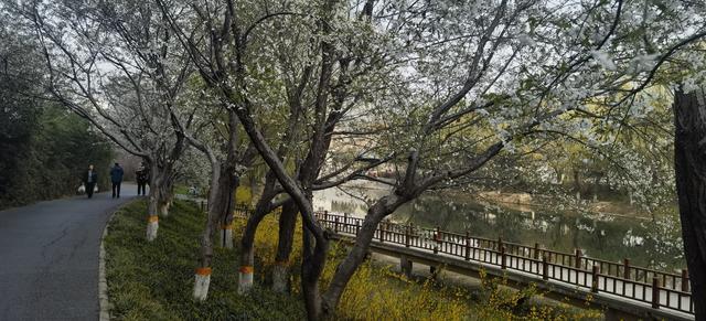 50条人生感悟：