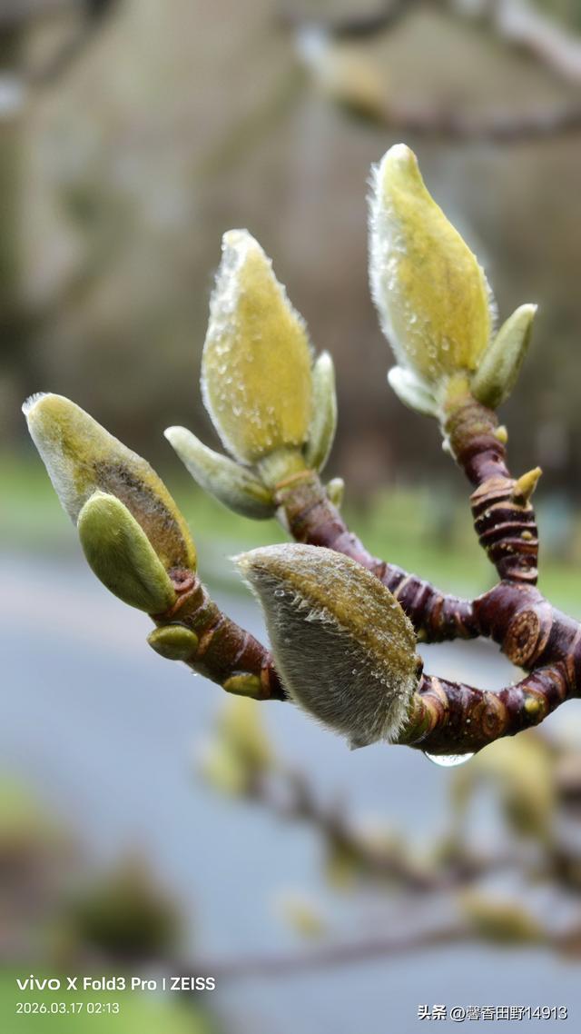 哲理散文：人间行旅，心有清欢