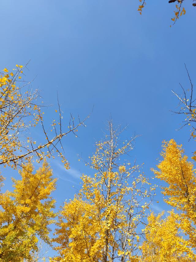 瞬间破防！这50句励志名言，说透了奋斗、成长与坚持