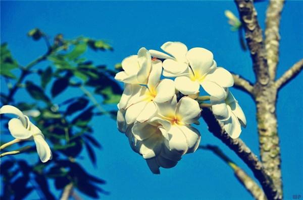 经典走心的句子，人生处处有磨难，活着就是一种修行