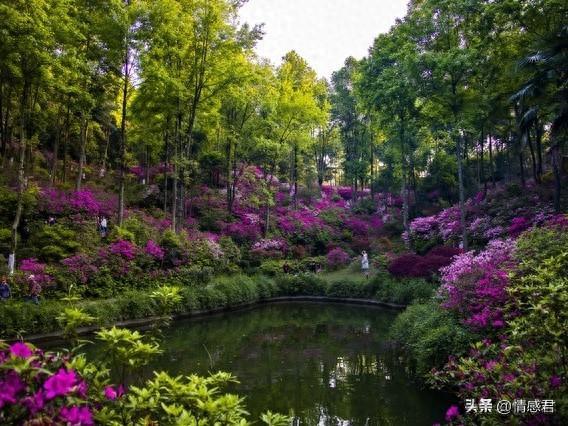 两性关系：40岁卖菜大姐自述，生理上的动心，根本藏不住