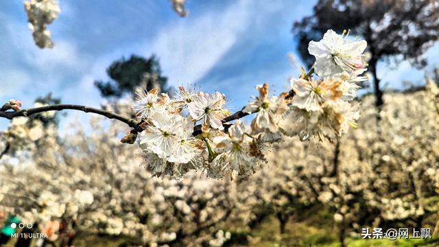 哲理散文:心田一隅，种得清欢