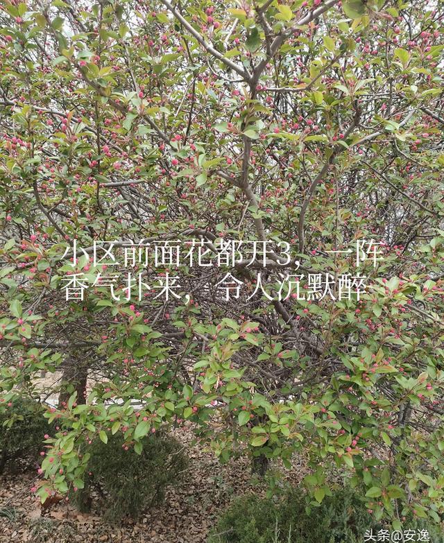 情感爆文:亲情里的代沟，我们该如何跨越？