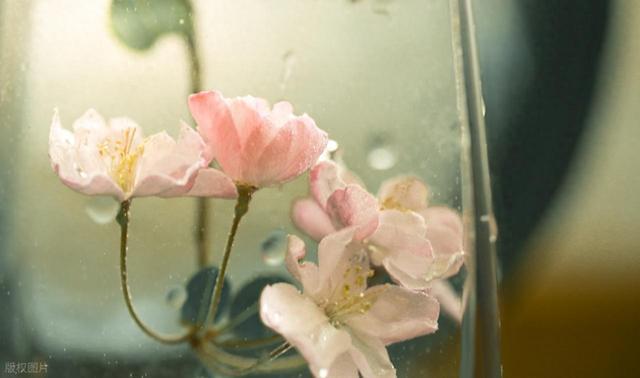 那些写进心底的哲理句子，条条精辟！