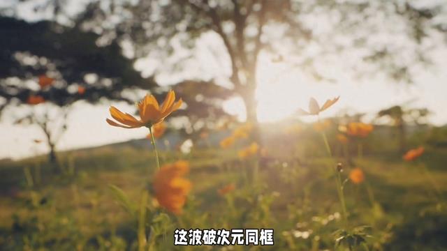 暖心瞬间：余华与范志毅夫妇的感人故事