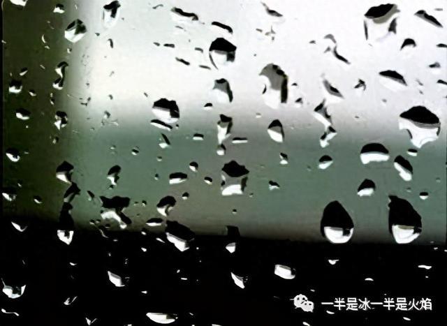 随笔：雨 · 日记