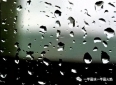 随笔：雨 · 日记