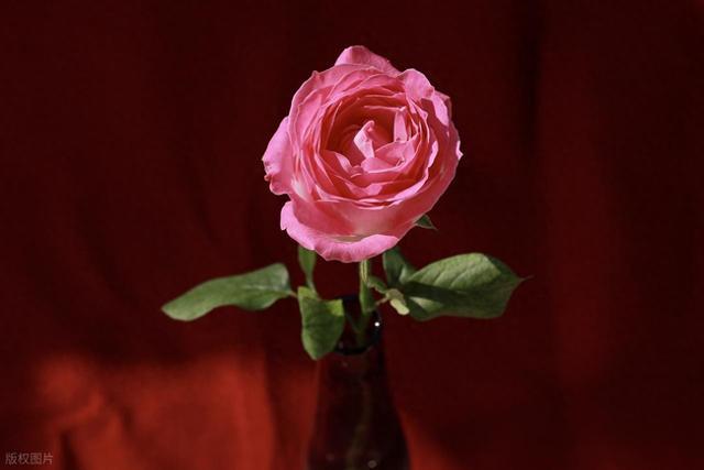 经典人生感悟，条条精辟，句句入心！