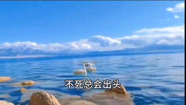 竟有这5句人生哲理名言警句，句句入骨超精辟