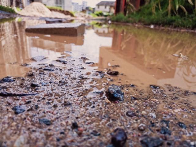 励志哲理文章：《哪怕遍体鳞伤，也要活的漂！》