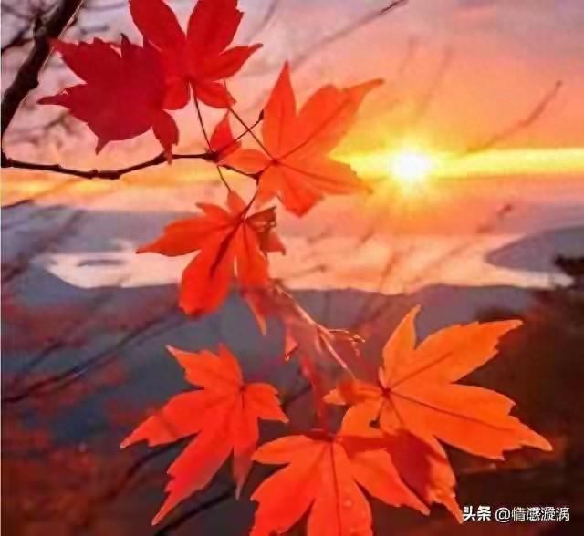 情感揭秘：两性关系18句大实话，扎心又真实