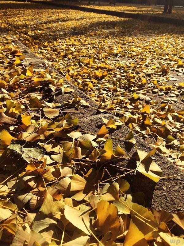 经典感情句子说说心情，句句精致，送给心累疲惫的你