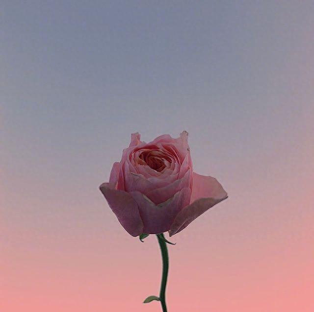 富有内涵的人生格言