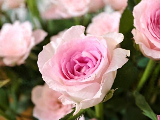 古风爱情语录，很美，很甜