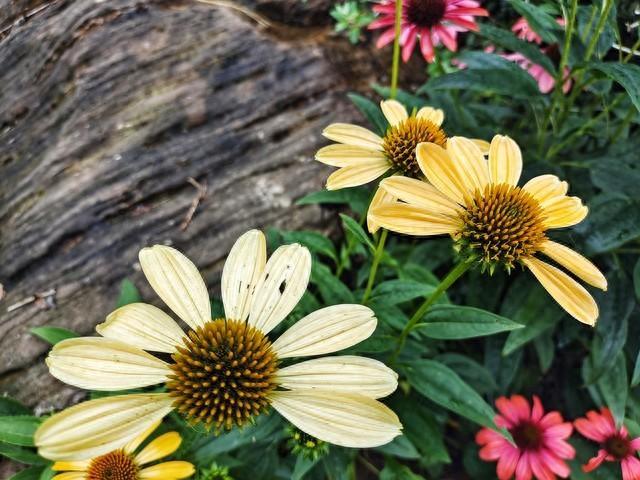 守一世情的唯美情感语录