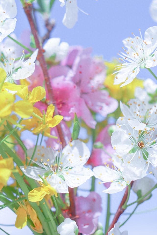 精辟入心的哲理句子，值得一生收藏！