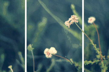 8个小故事，花了一天“读”明白！