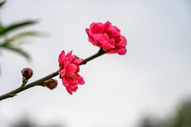 异性之间：是友情还是暧昧，一看便知