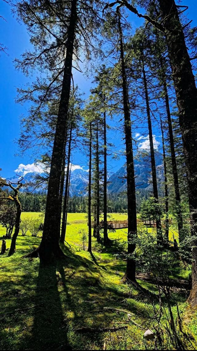 人生感悟：30句自带光芒的治愈句子，给正在熬的你