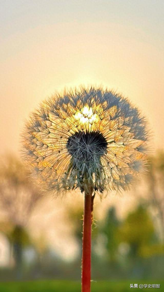 人生必须悟透的10句哲理，活成清醒通透的自己