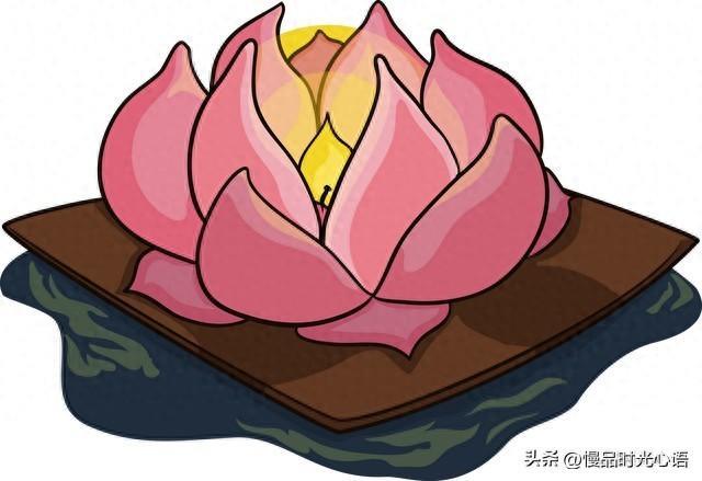 真爱（真实感人的故事）