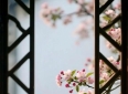 冷门却深刻的20句人生哲理，字字清醒，适合独处时细品